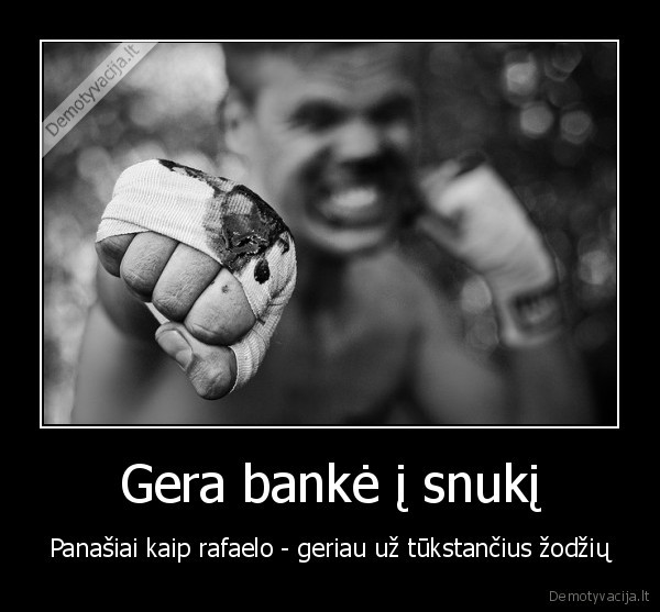 Gera bankė į snukį