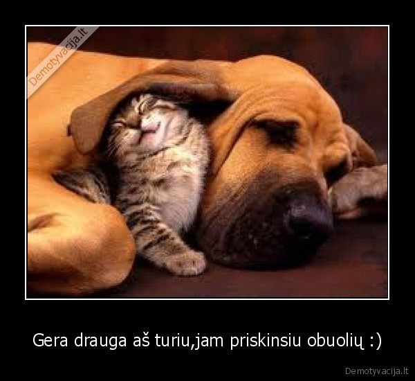 Gera drauga aš turiu,jam priskinsiu obuolių :)
