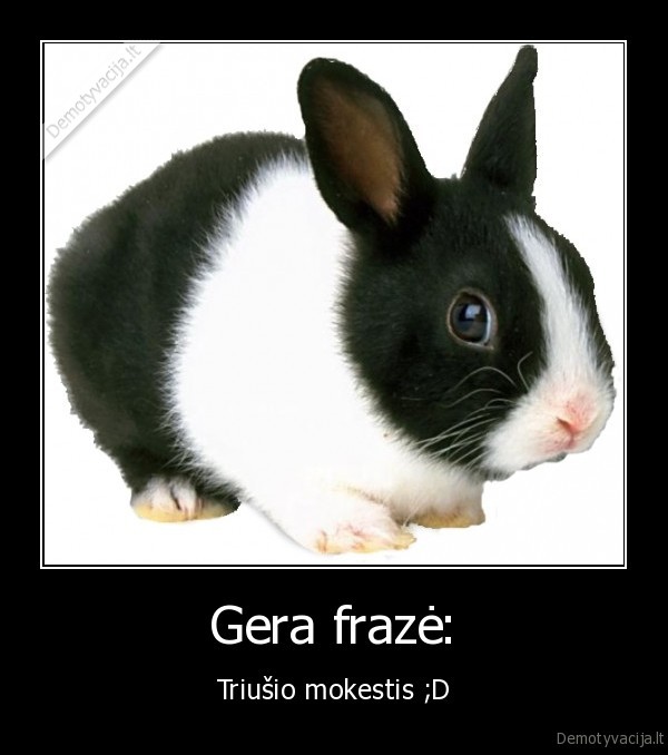 rabarbarai, bebru, ilanka, papai,sitaip, uztaginau, tikrai, netodel, kad, visi, to, iesko