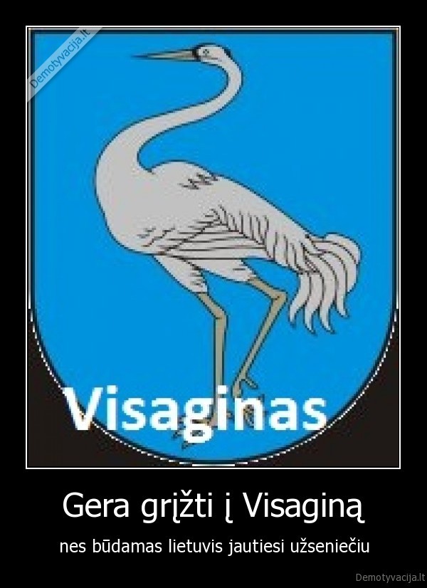 Gera grįžti į Visaginą
