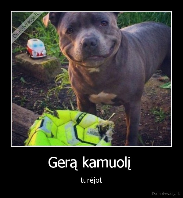 Gerą kamuolį 