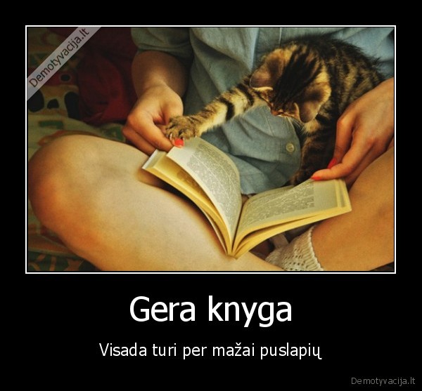 gera, knyga, visada, per, greit, baigasi