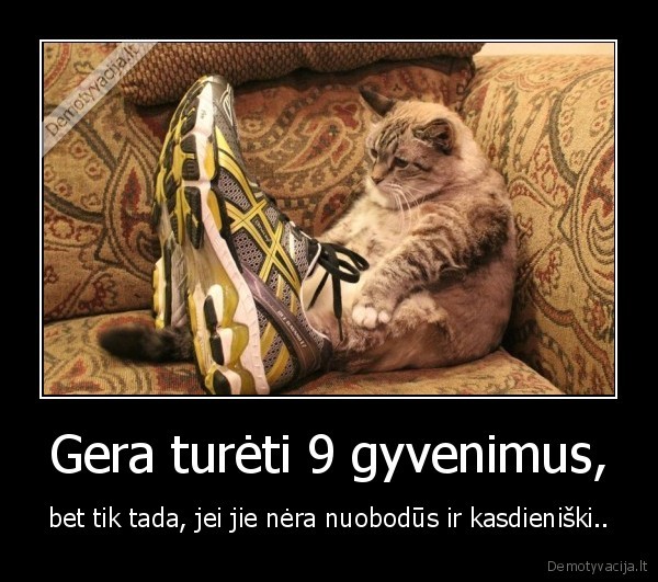 Gera turėti 9 gyvenimus,