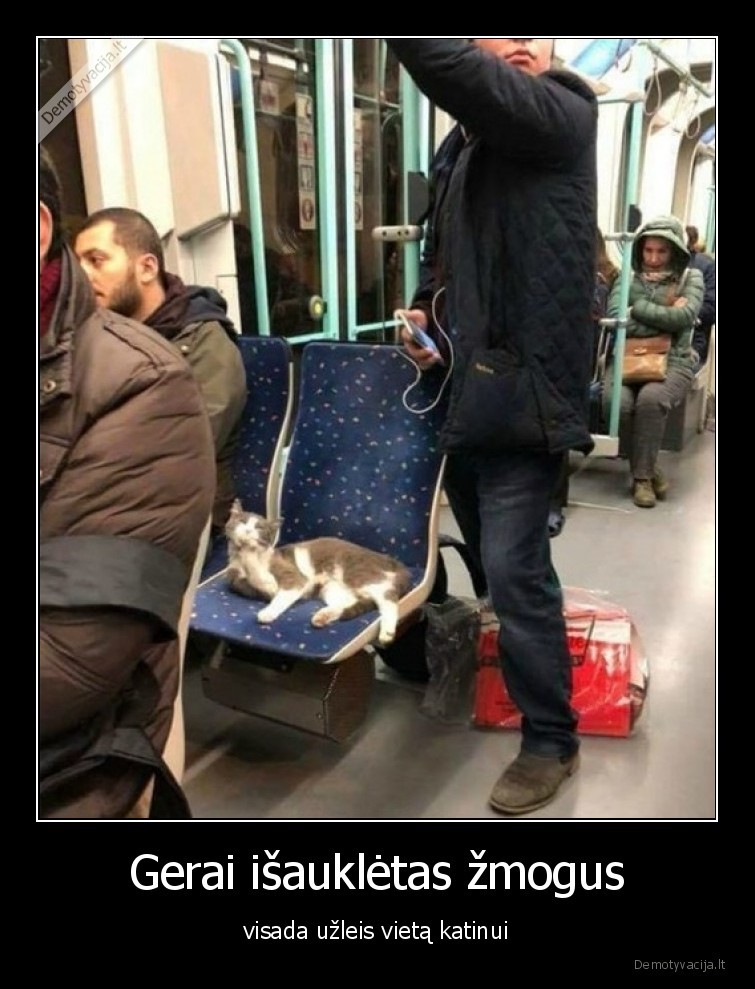 geras, zmogus,katinas,autobusas,uzleisti, vieta