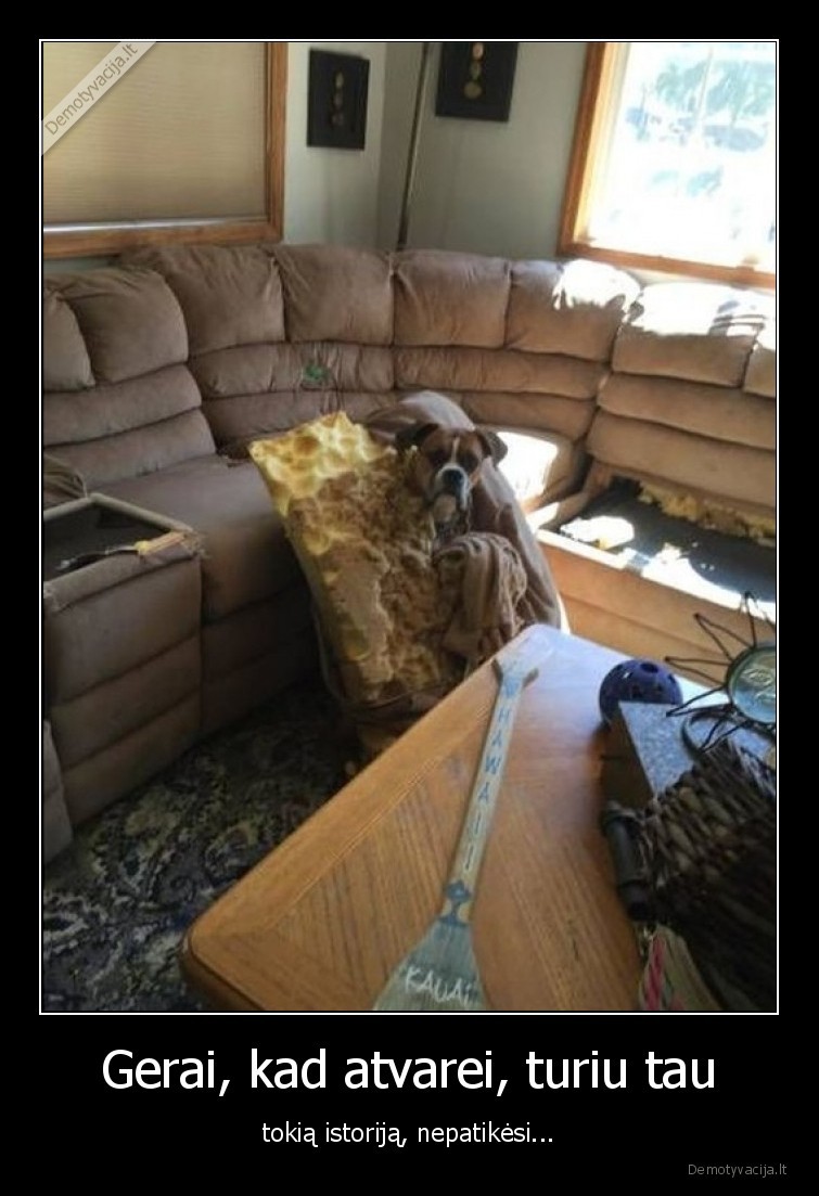 suo,pridirbo,istorija