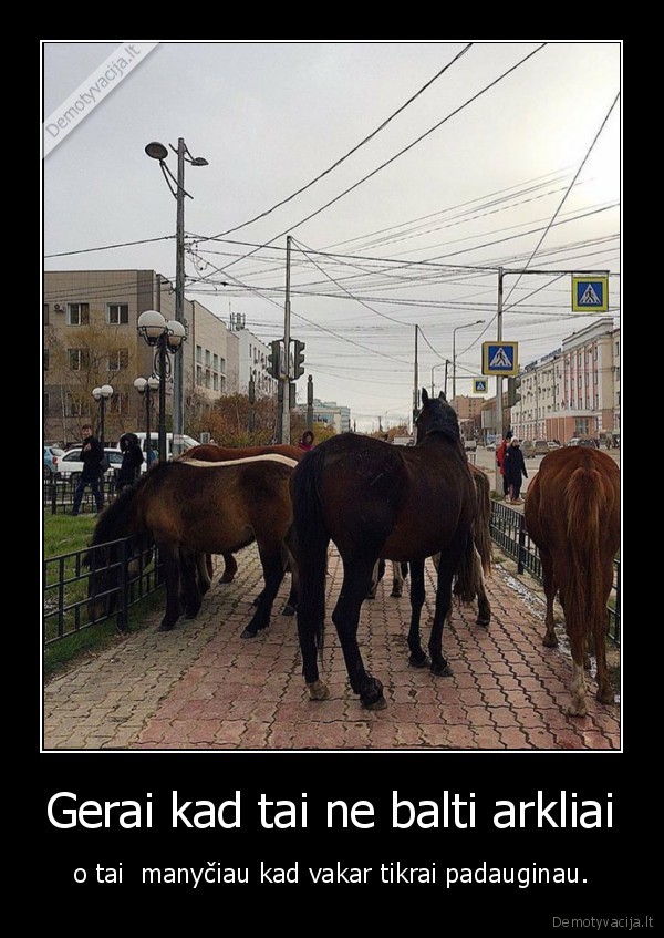 arkliai,padauginau