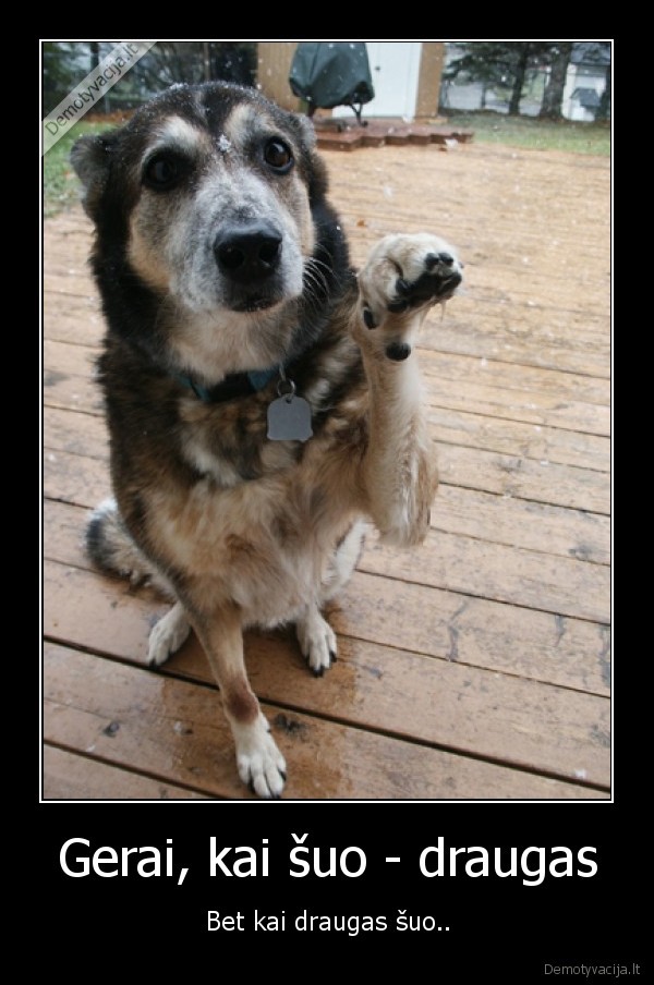 seip, ir, cia, kubilius, kaltas