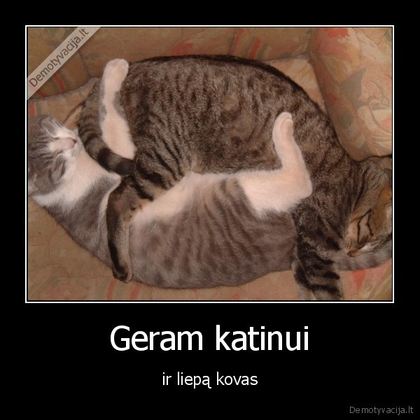 sex,seksas,kate,kates,kovas,ruja