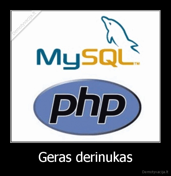 programavimas, php, coder