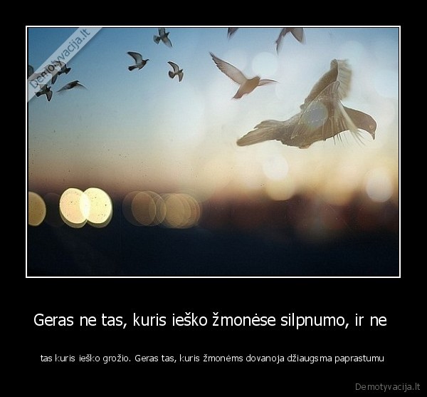 gerumas,dziaugsmas,draugiskumas,grozis