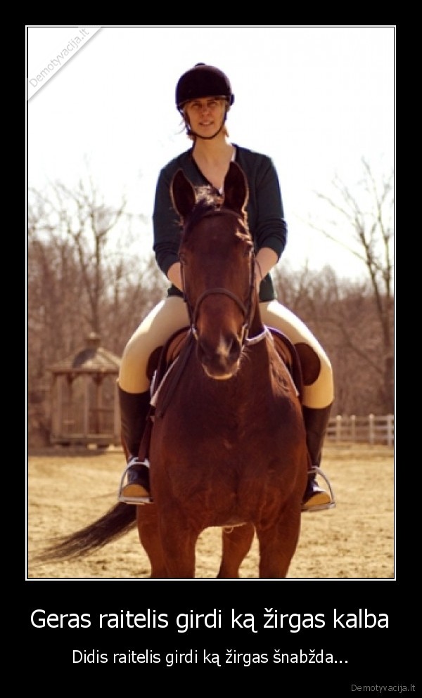 zirgas,jojimas,sportas,raitelis,gyvunai