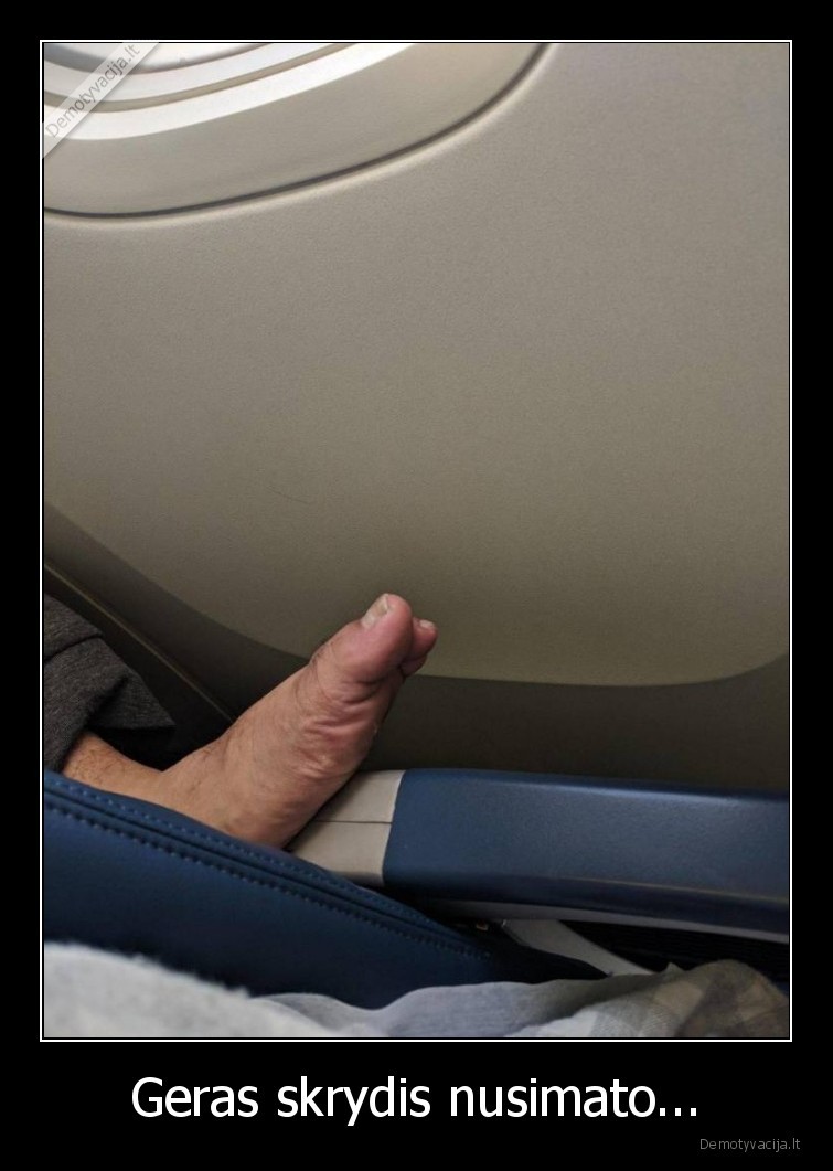 skrydis,koja,nagai,lektuvas