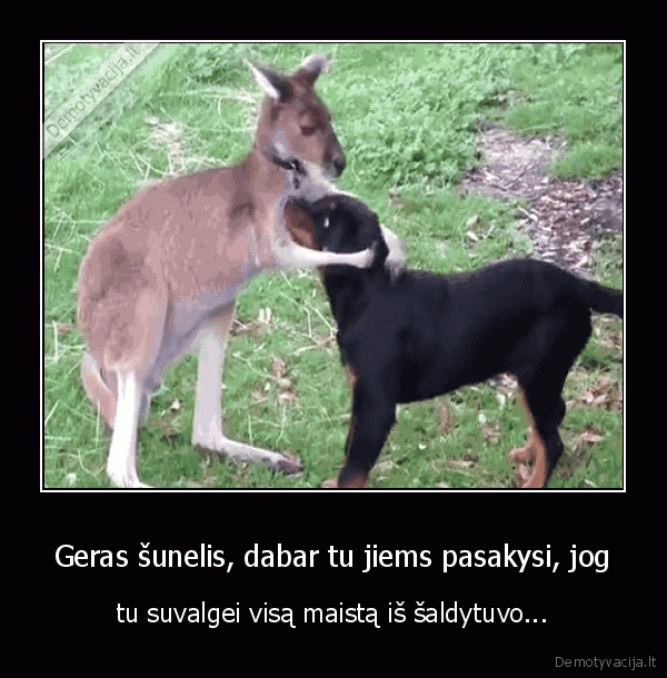 Geras šunelis, dabar tu jiems pasakysi, jog