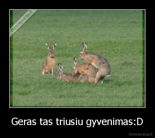 Geras tas triusiu gyvenimas:D