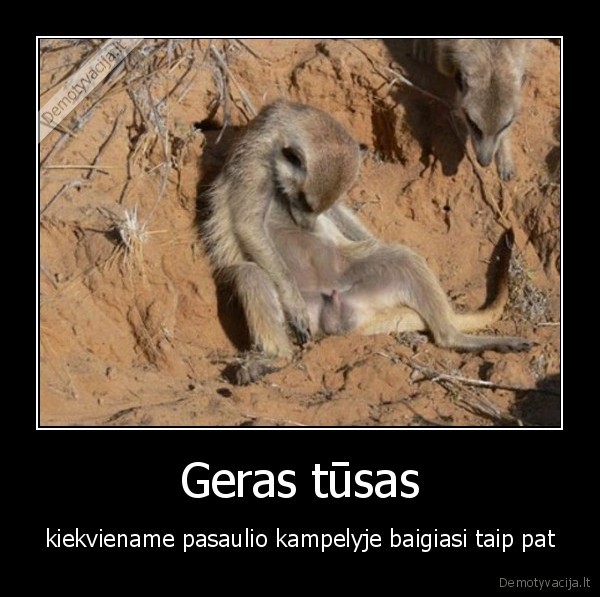 Geras tūsas