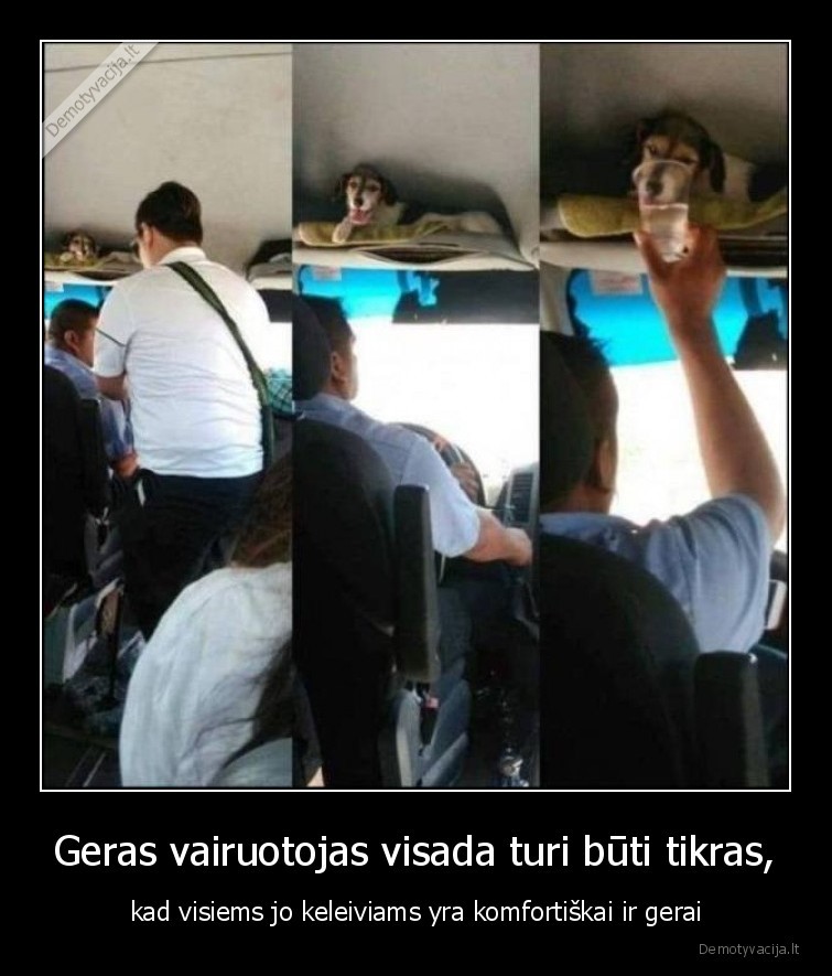 gerai,vairuotojas,keleivis,suo