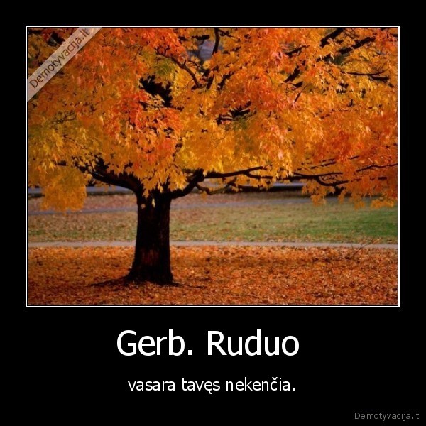 ruduo,vasara,nekesti