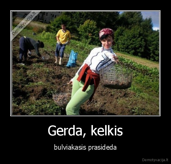 bulve,gerda