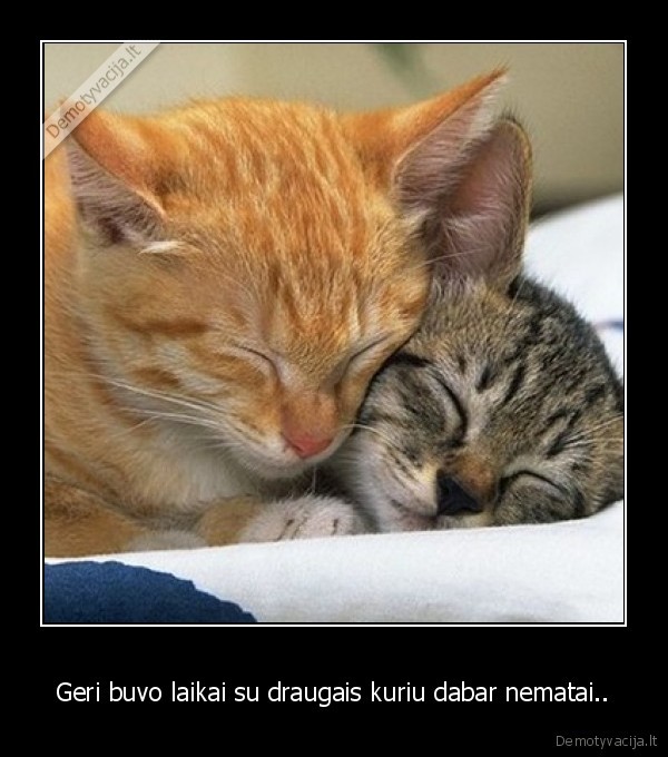 Geri buvo laikai su draugais kuriu dabar nematai..