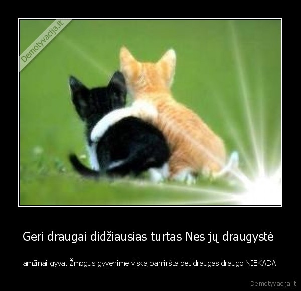 Geri draugai didžiausias turtas Nes jų draugystė 