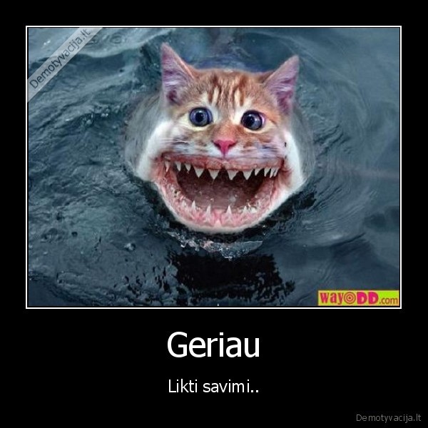 nevaidink, kieto, kubiliau,nes, vistiek, toks, nesi