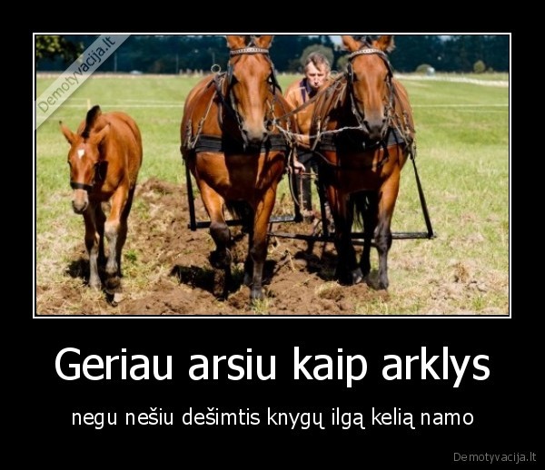 mokykla,sunkios,knygos,arklys