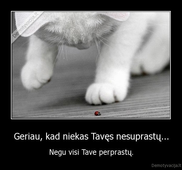 Geriau, kad niekas Tavęs nesuprastų...