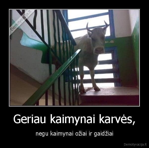 pakeliui,namo,laiptine,kaimynas,negera,baisu