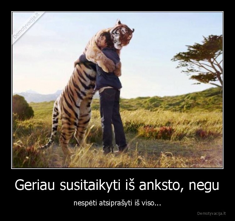 atsiprasyti,tigras,susitaike,is, anksto