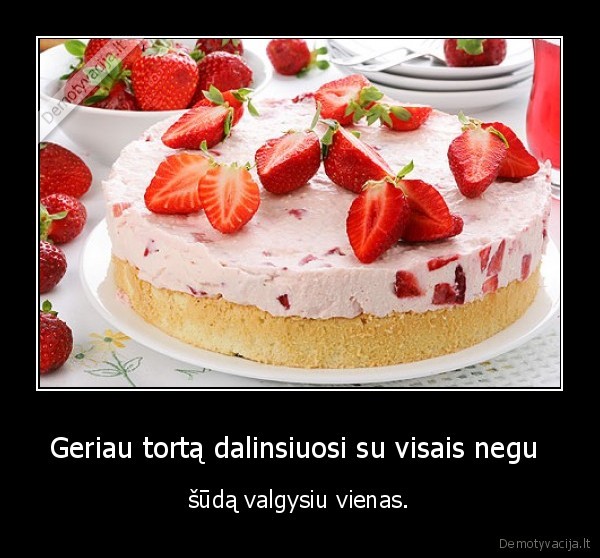 tortas,sudas,tortukas,kubiliui, poxuj, jis, bbs