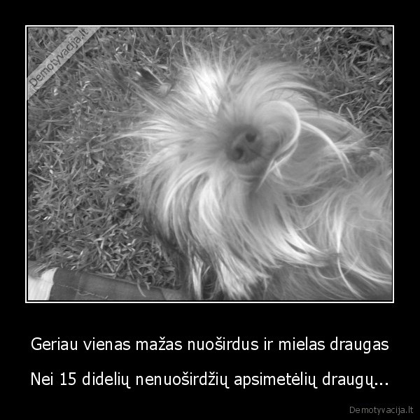 Geriau vienas mažas nuoširdus ir mielas draugas