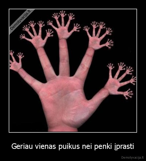 Geriau vienas puikus nei penki įprasti