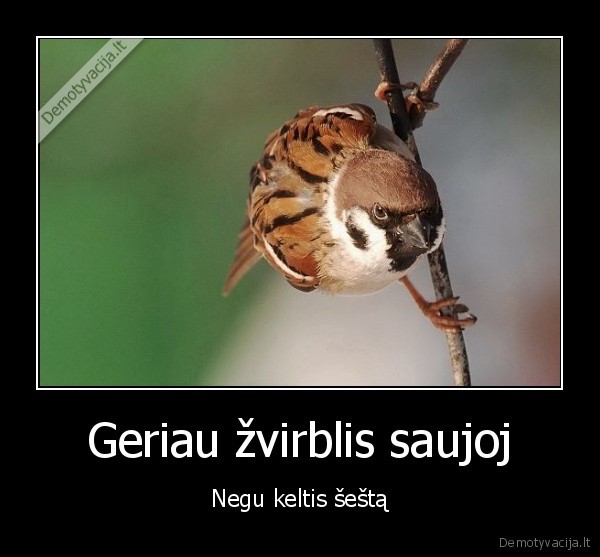 anksti, keliasi,patarle