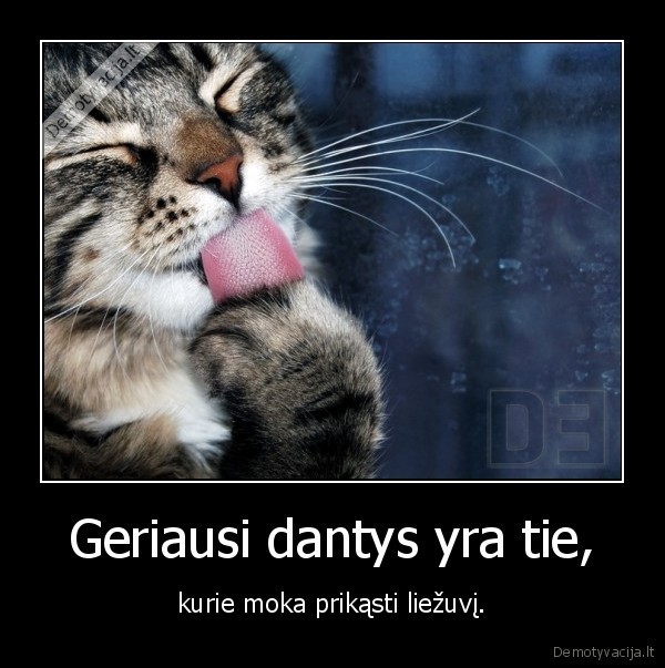 Geriausi dantys yra tie,