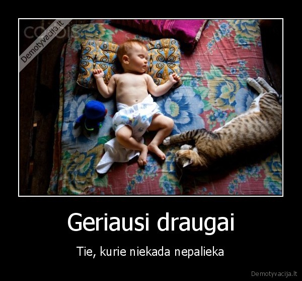 katinas,baby,lova,istikinybe