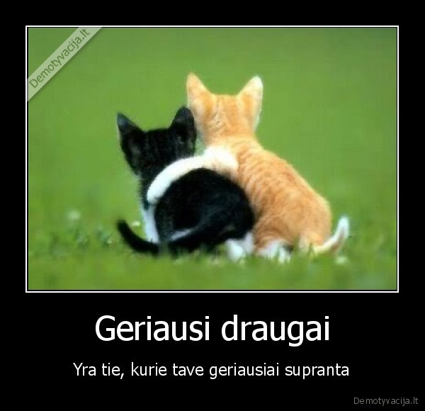 draugai,draugyste,geras,suprasti