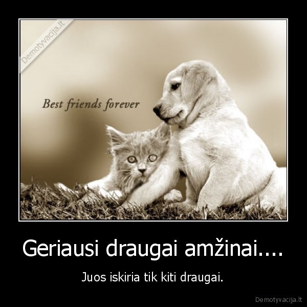Geriausi draugai amžinai....