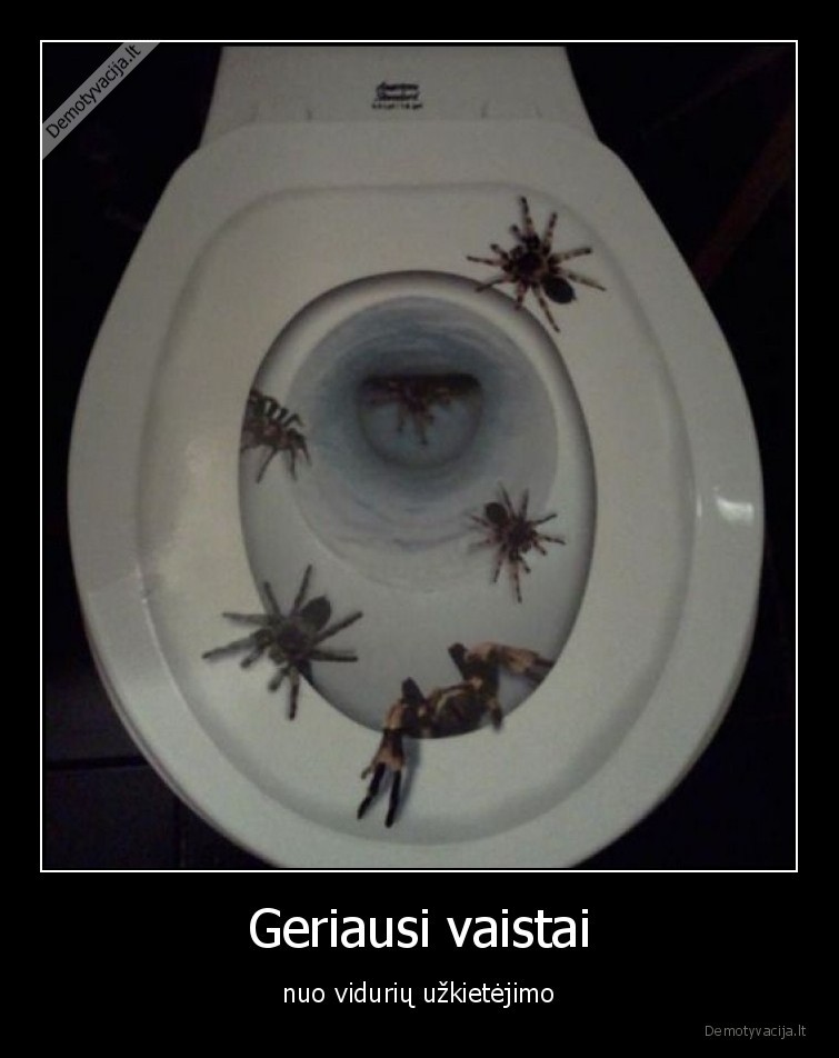 vaistai,viduriu,uzkietejimas,vorai,tualetas