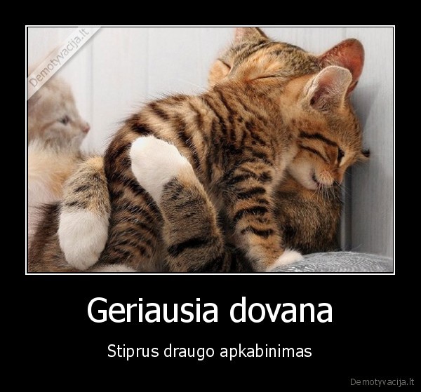 dovana,dovanos,svajones,aukok.lt