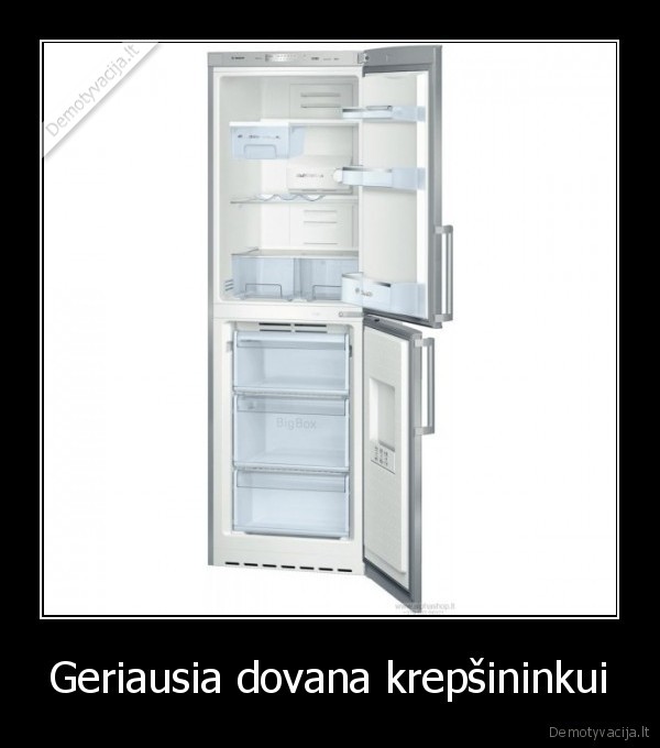 lkl,zvaigzdziu,diena,dovanu,saldytuvas