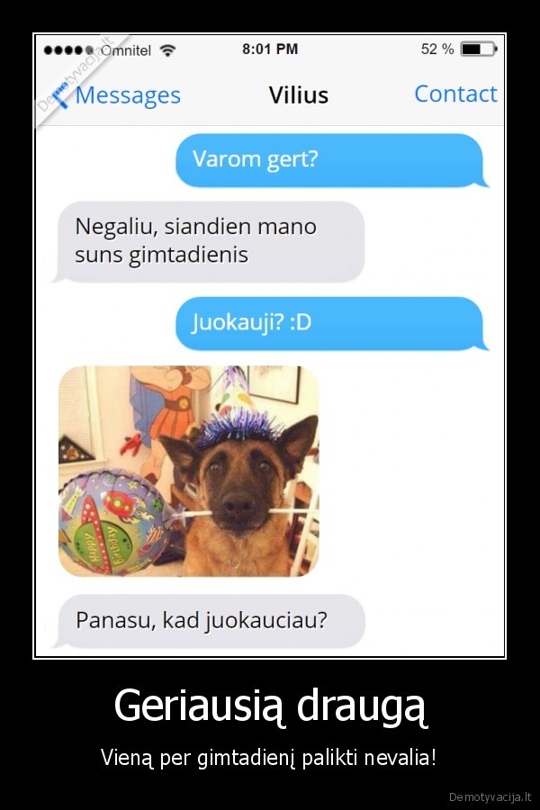 tikras, draugas,suns, gimtadienis