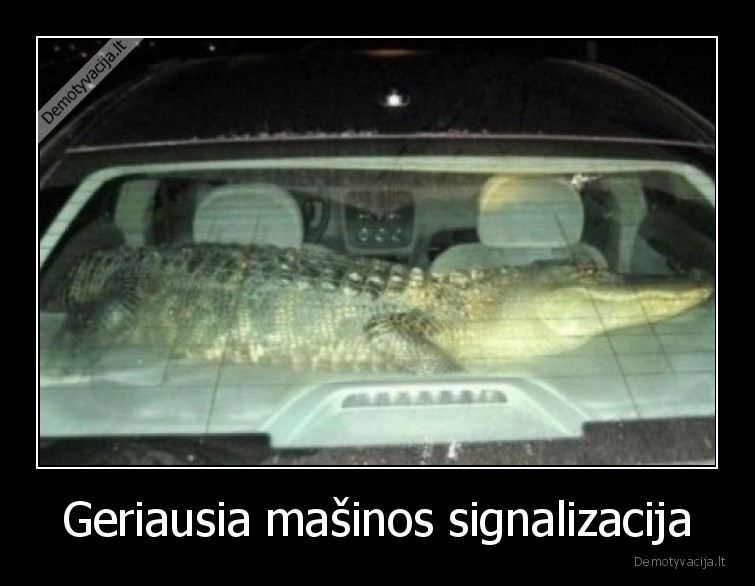krokodilas,masina,signalizacija