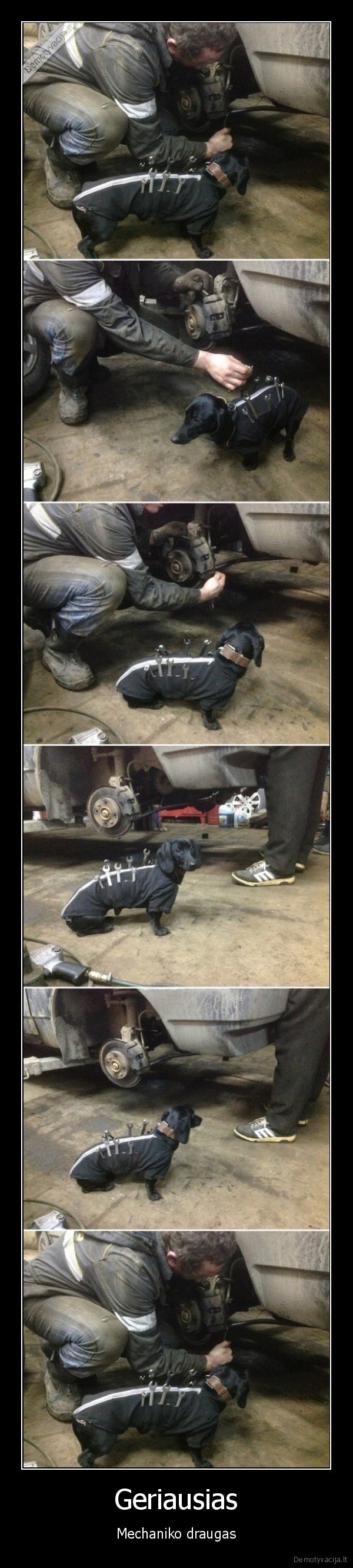 paslaugus, suo,taksas,irankiai