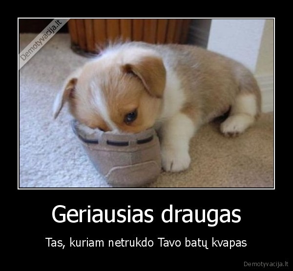 Geriausias draugas