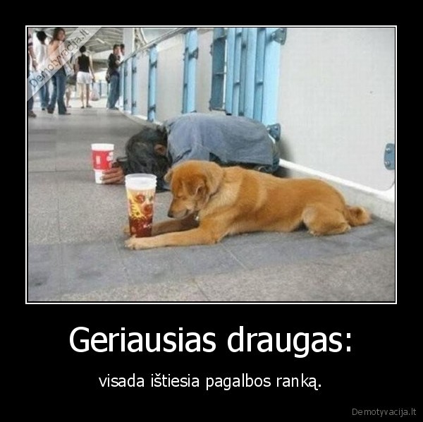 Geriausias draugas: