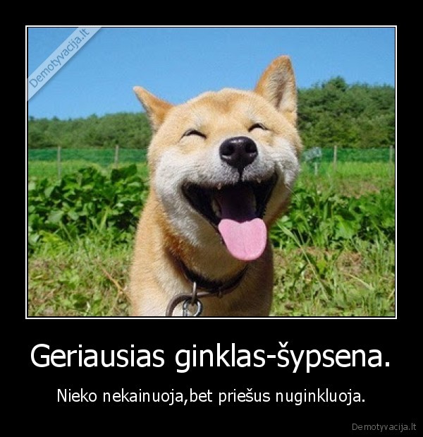 Geriausias ginklas-šypsena.