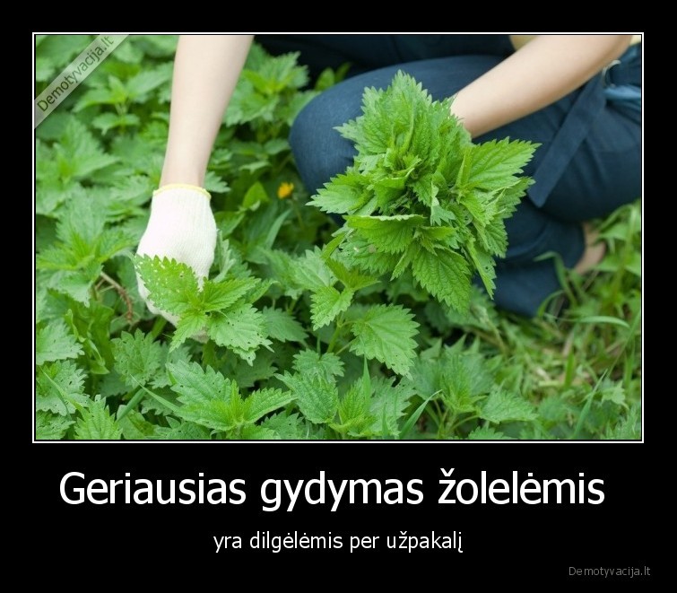 dilgeles,gydymas,medicina