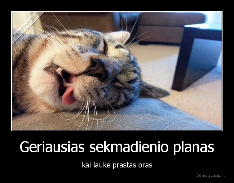 miegas,sekmadienis,prastas, oras,planas