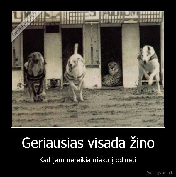 geriausais,greiciausias