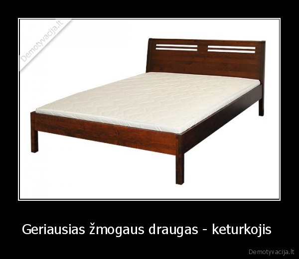 Geriausias žmogaus draugas - keturkojis 